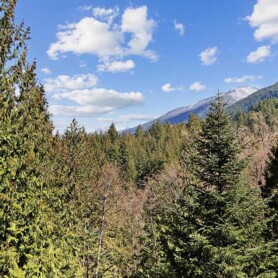 SOC - Kelly Lerigny - 49705 Brownlee Road