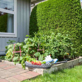 SOC - Kelly Lerigny - 8-45824 Stevenson Road