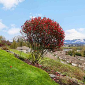 Sold On Chilliwack - 86-8590 Sunrise Drive - Chilliwack